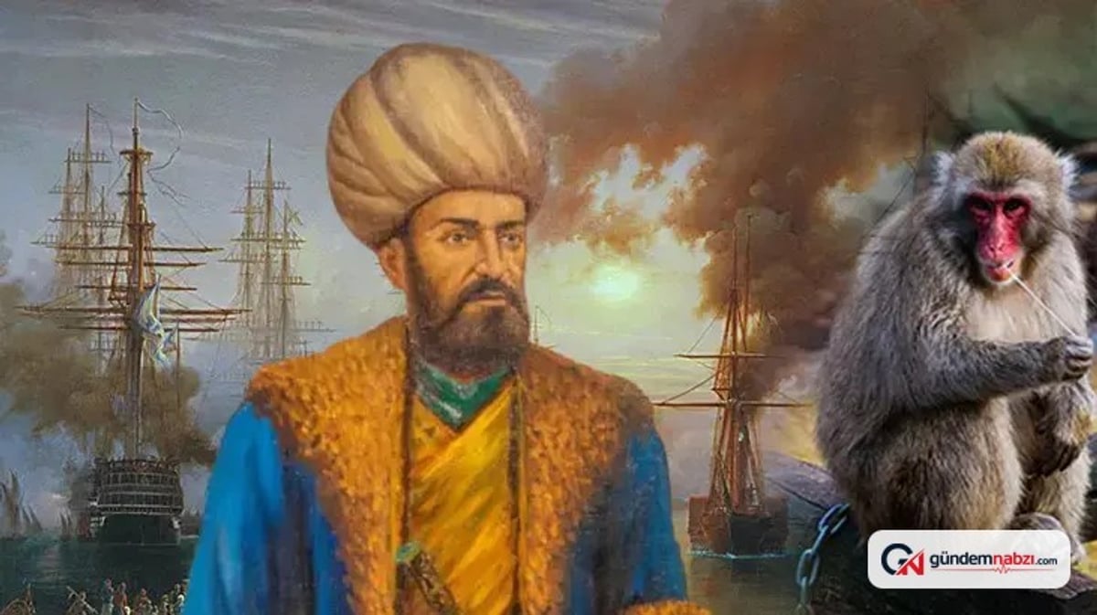 Osmanlı donanmasında maymun gözcüler kullanıldı
