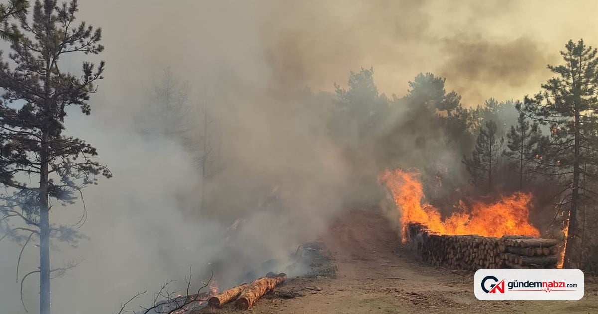 Bolu Göynük'te orman yangını çıktı, hava araçlarıyla müdahale ediliyor
