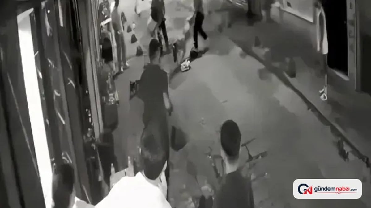 İstanbul'da köpek kavgası: Pitbull sahibi bıçaklandı, terrier sahibi tutuklandı