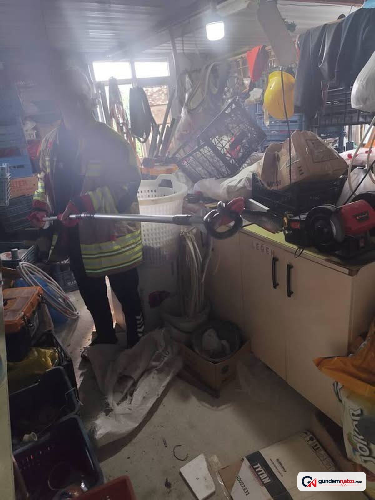 Hatay'da yerleşim yerlerine giren yılanlar doğaya bırakıldı