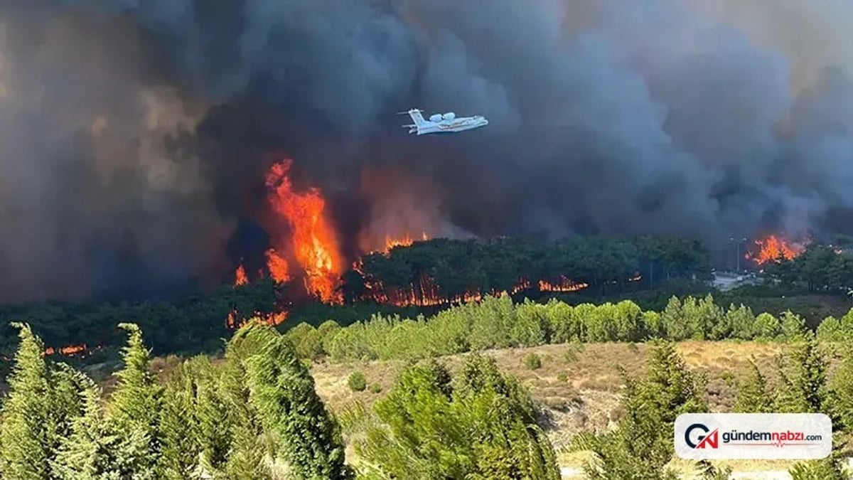 Çanakkale'de orman yangınlarına karşı eğitimler ve tedbirler artırıldı
