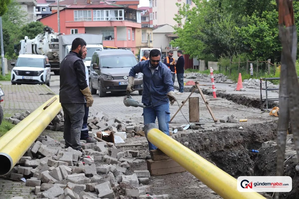 Artvin Hopa'da doğalgaz ekim ayında kullanılmaya başlanacak