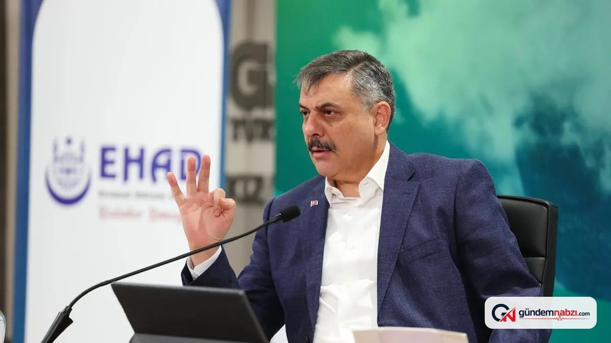 81 ilde sokak köpeklerinin yüzde 98,69'u toplandı