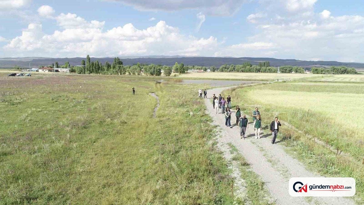 DSİ, Kars ve Ardahan'daki arazi toplulaştırma çalışmalarını inceledi