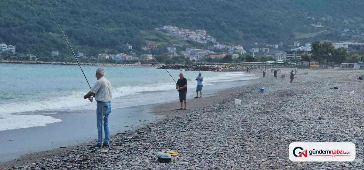 Kastamonu'da Çapari yasağı kalktı, kovalar istavritle doldu