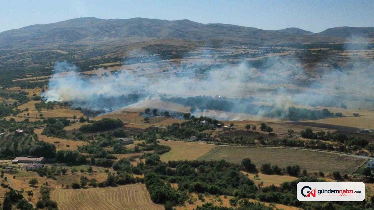 Elazığ’da anız ve bahçe yangını