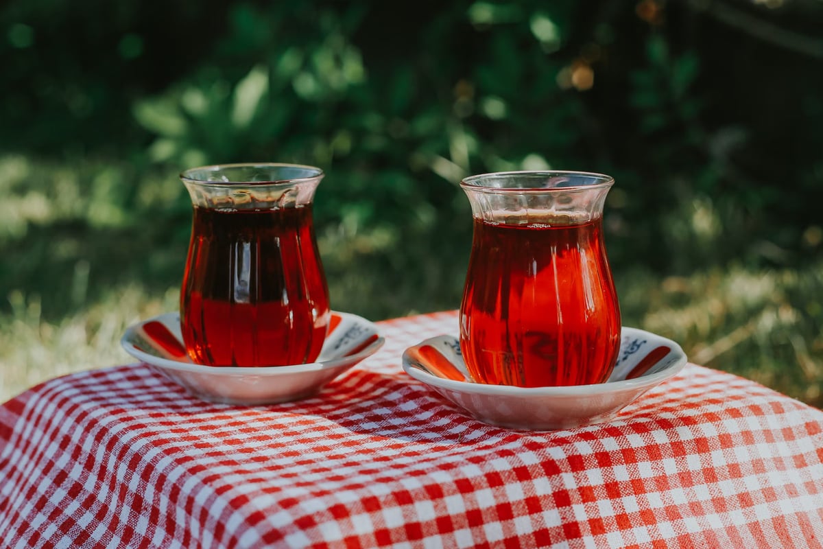 Aynzeliha çay bahçesi Projesi hayata geçiriliyor