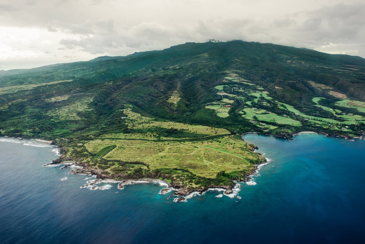 1,5 milyon kişinin yaşadığı Hawaii'de yılan bulunmuyor