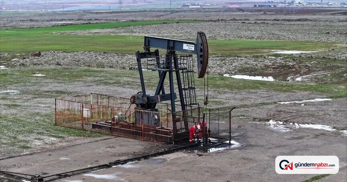 TPAO, Adıyaman ve Şanlıurfa'da 5 yıl petrol arayacak