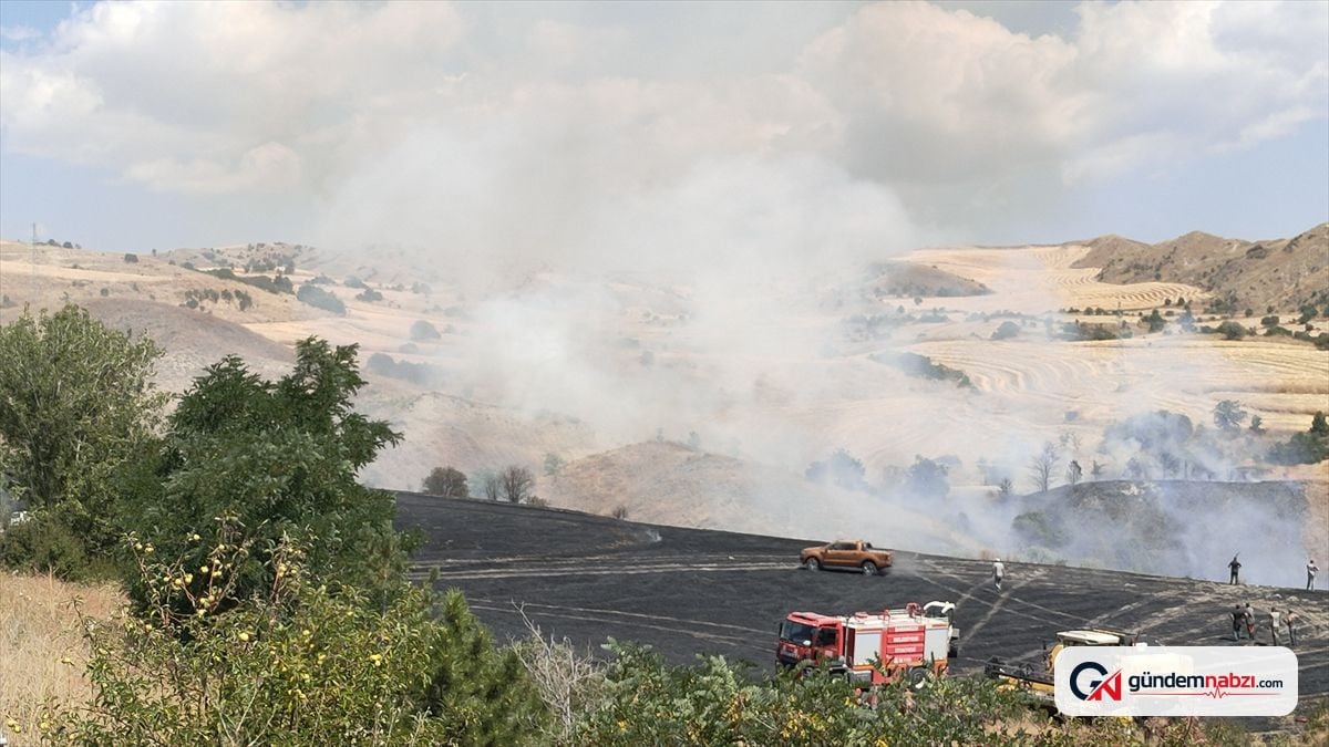 Çankırı'da arazi yangını söndürüldü