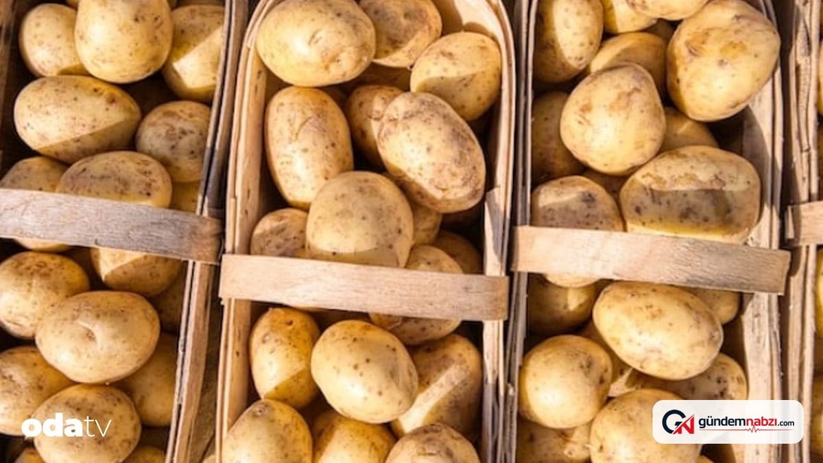 Patates saklarken yapılan üç temel hata