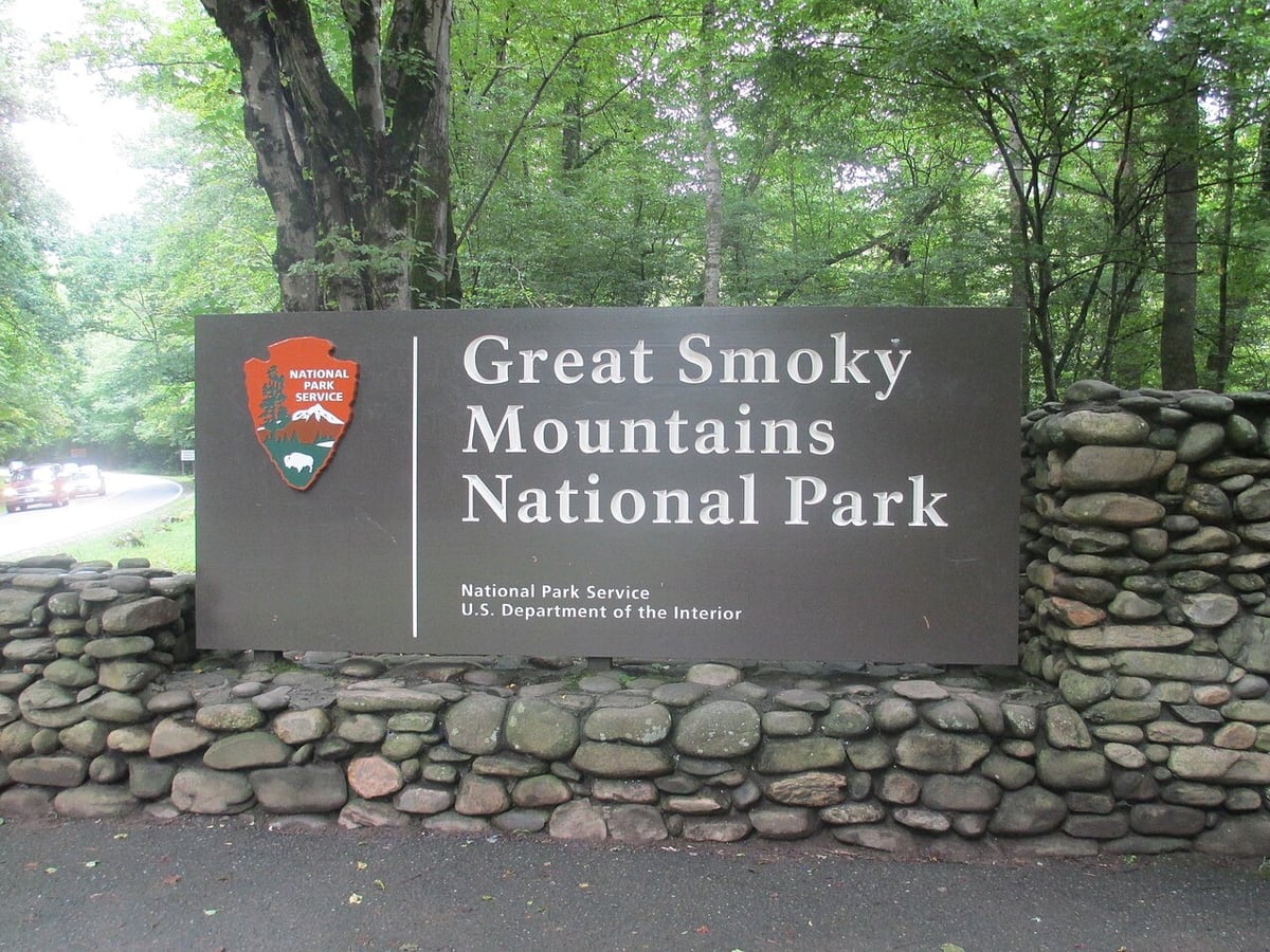 Great Smoky Mountains Milli Parkı'nda Marcin Bachleda-Blaszczak kayıp
