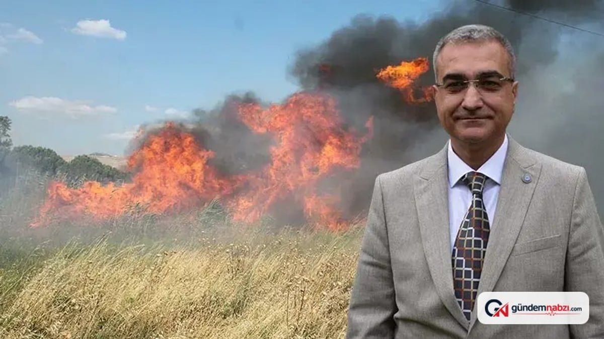 Yangın riski yalnızca Ege ve Akdeniz'le sınırlı değil