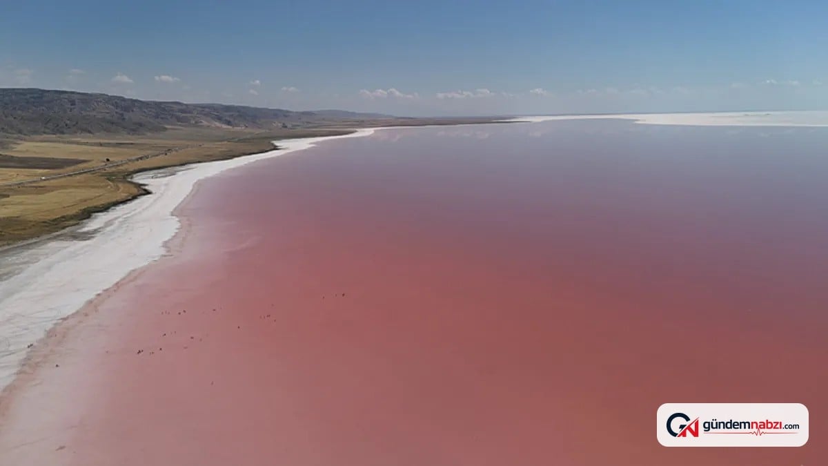 Tuz Gölü pembe renge büründü, ziyaretçiler şaşırdı