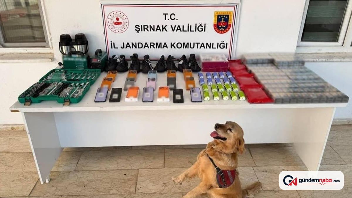 Şırnak'ta düzenlenen kaçakçılık operasyonunda 26 milyon liralık malzeme ele geçirildi