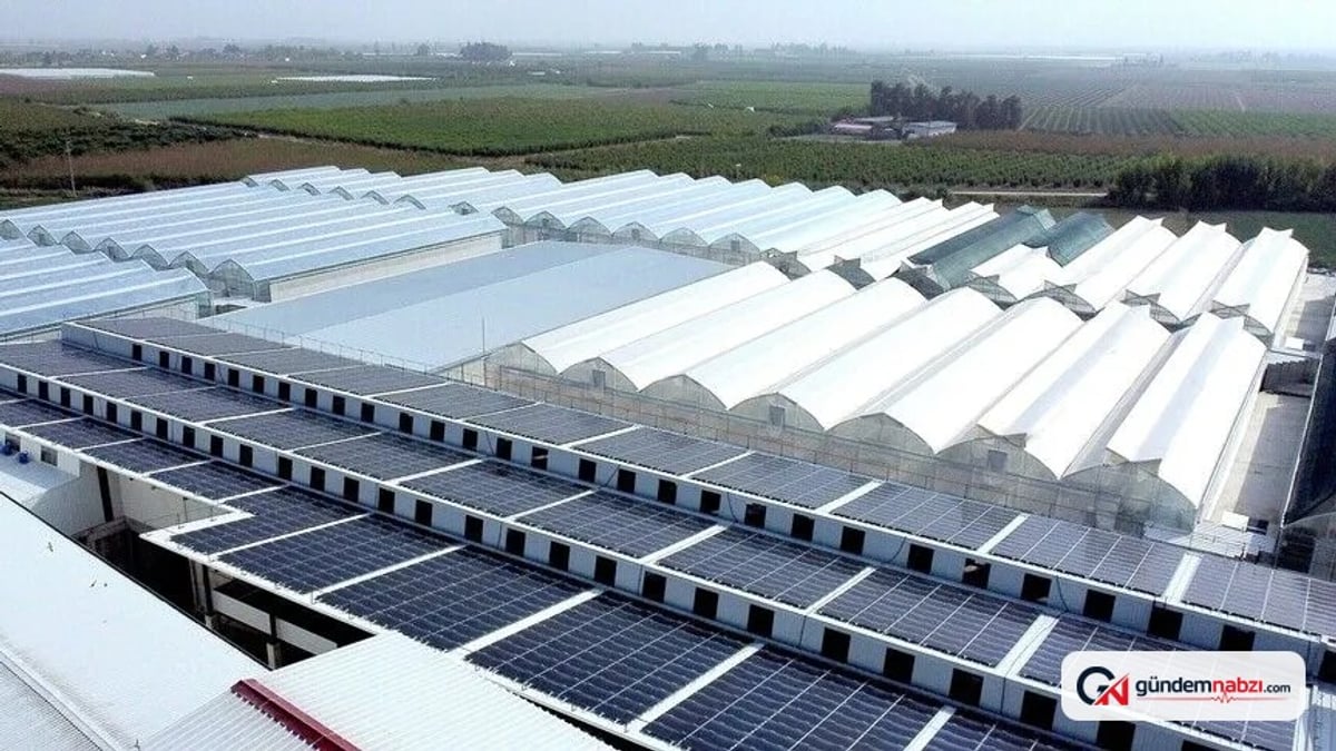 Bakan Yumaklı'dan tarımda yenilenebilir enerji vurgusu: 2,8 milyar lira destek