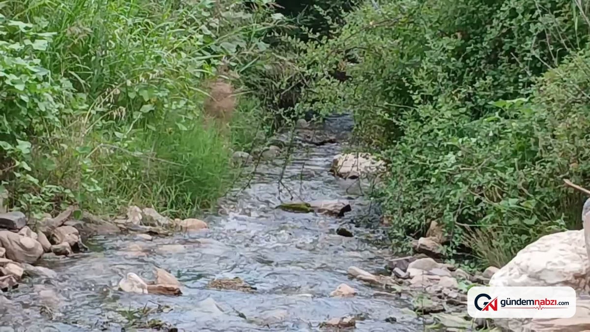 Aydın'da milyonlarca lira harcanan gölet su tutamadı
