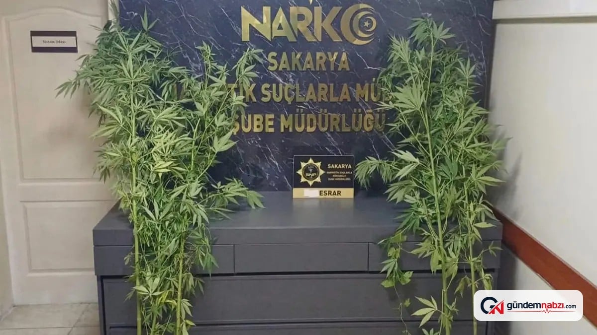 Sakarya'daki uyuşturucu operasyonunda 1 şüpheli tutuklandı