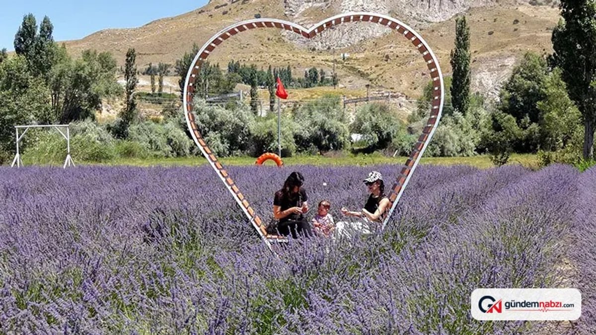 Emekli Niyazi Selvi, lavanta bahçesiyle yeni bir hayat kurdu