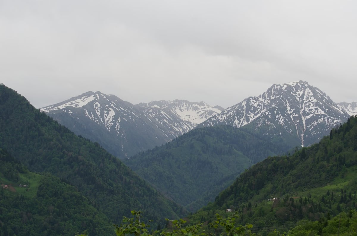 Artvin'de madencilik tepkisi: Parasız yaşanır ama doğasız yaşanmaz