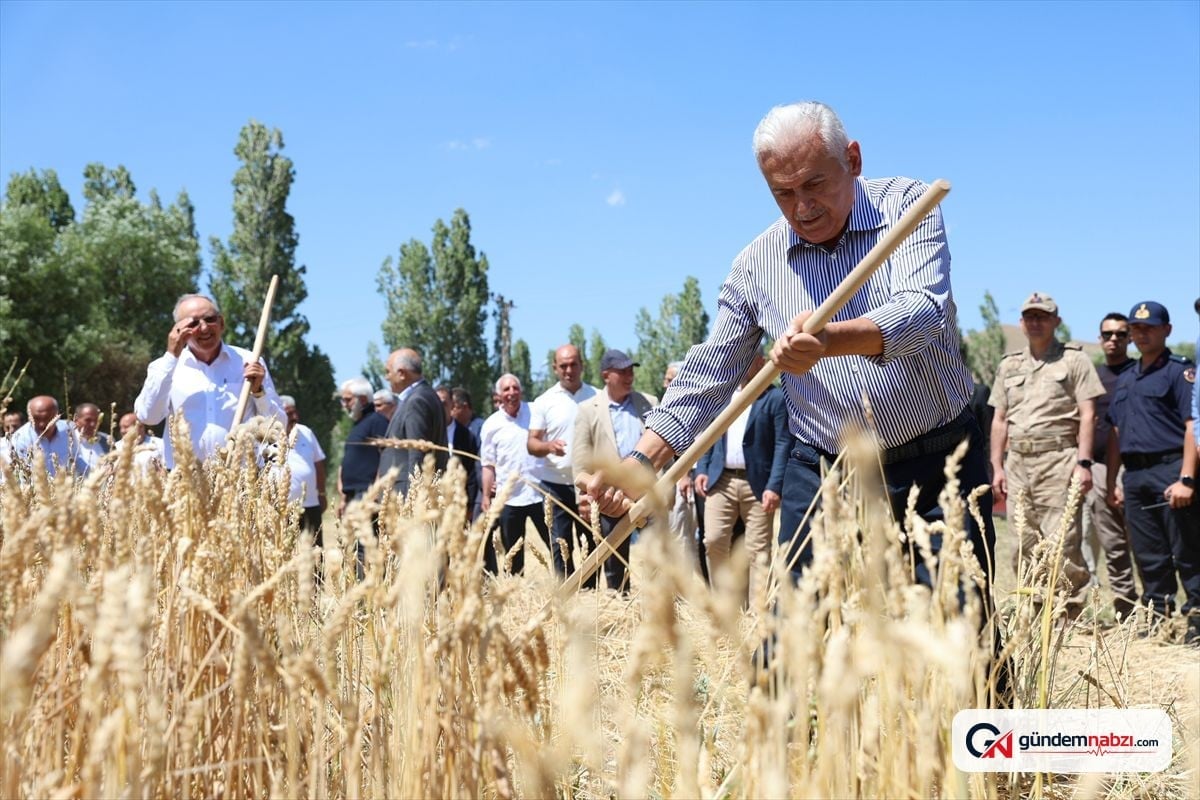 Bayburt'taki Harman Şenliği'nde geleneksel hasat yapıldı