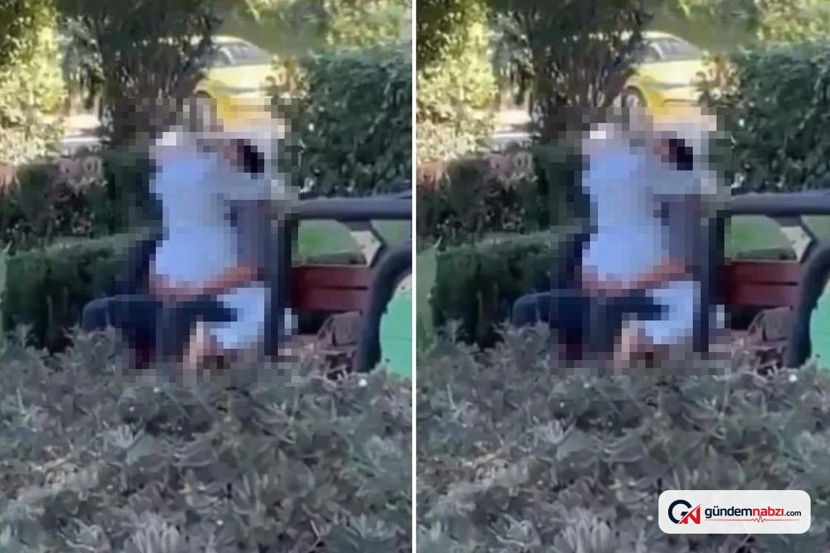 İstanbul'da parktaki görüntülerle ilgili gözaltına alınan 2 şüpheli serbest