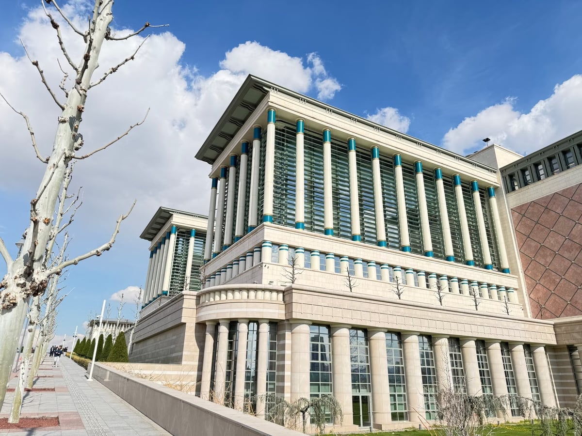 Tuğrul Türkeş’ten MHP’lilere sert tepki