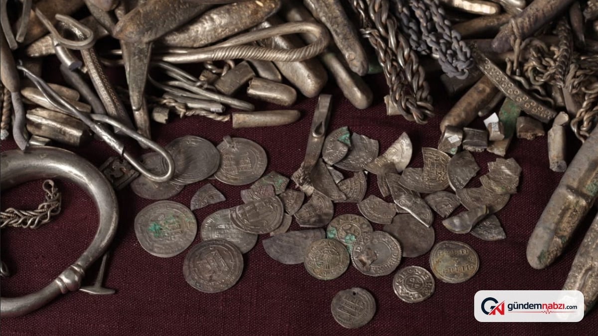 Danimarka'da bahçede bulunan Viking Çağı gümüş hazinesi 18,5 kilo
