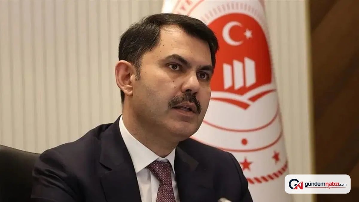 Ünye Çevre Platformu bakanlık önünde açıklama yaptı