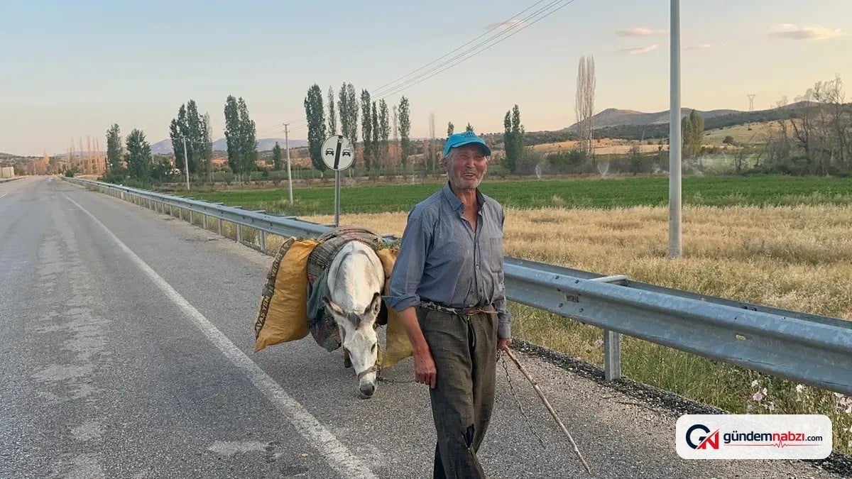 Konya'da 74 yaşındaki çiftçi fasulyesini eşekle yetiştiriyor
