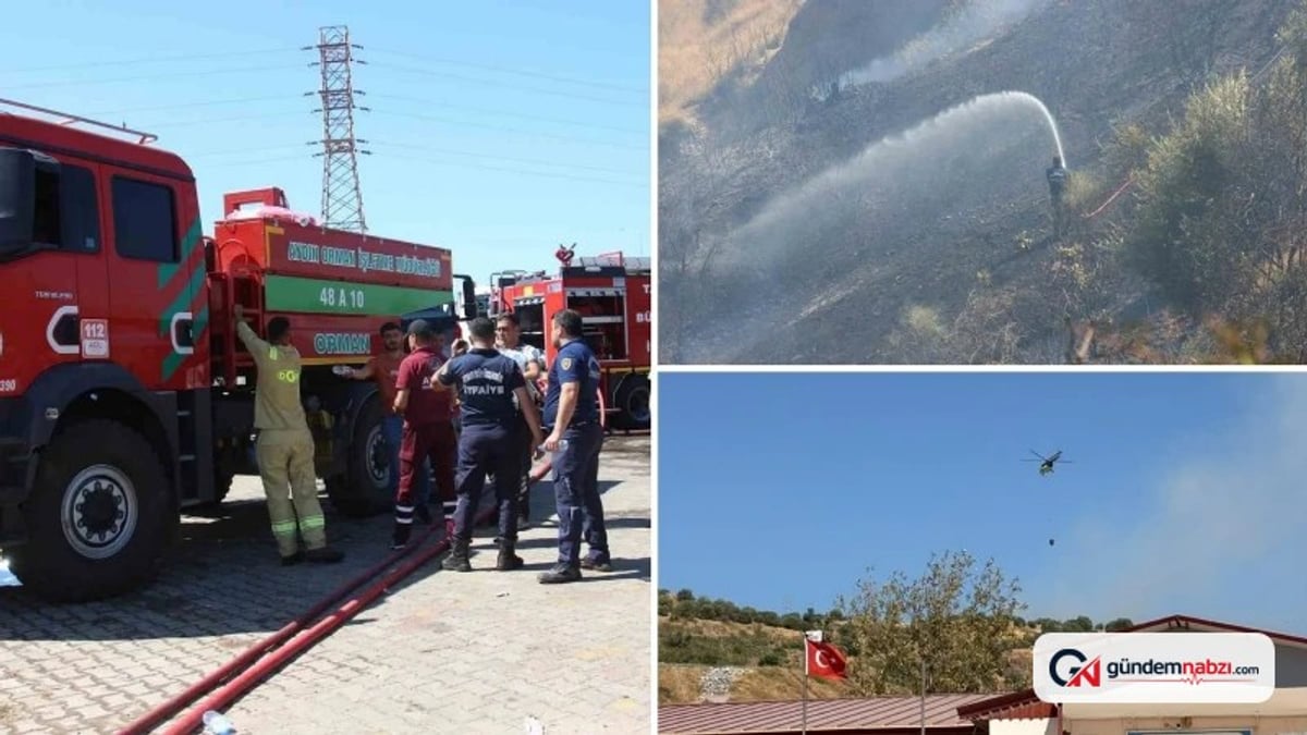 Ekiplerin hızlı müdahalesi can dostları ve hastaneyi yanmaktan kurtardı