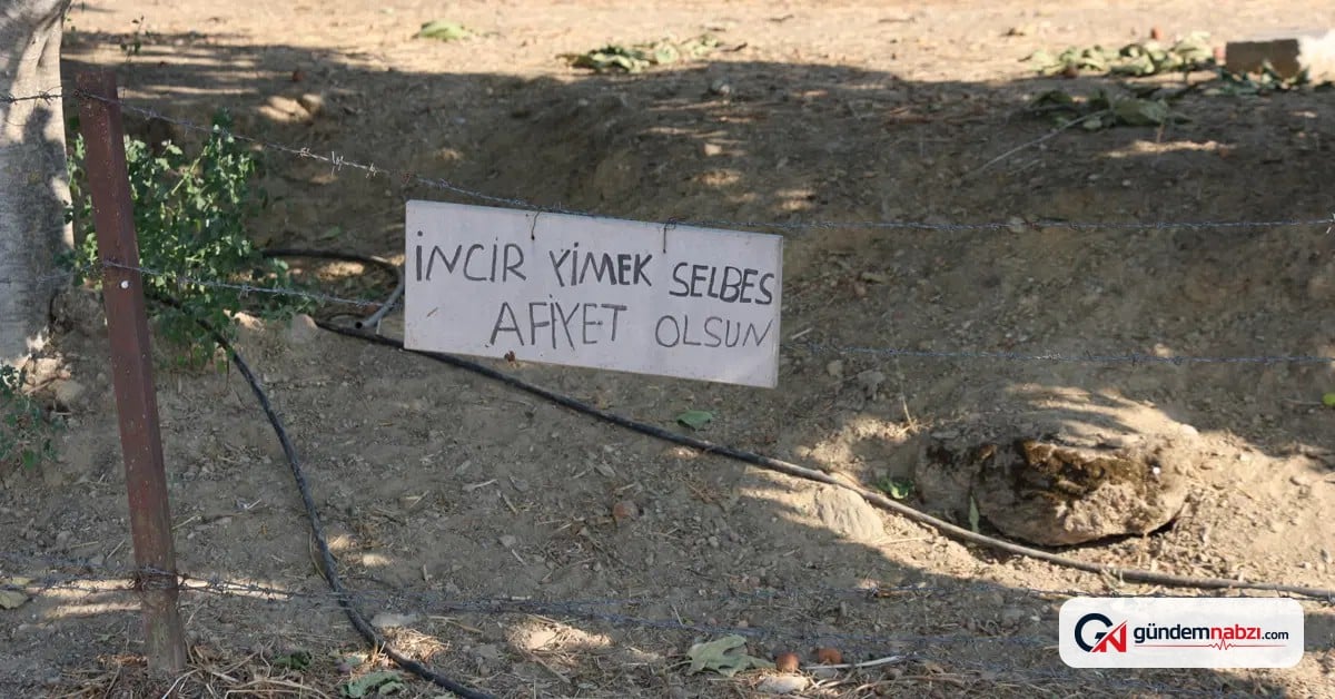 Bahçeye asılan not gülümsetti: İncir yimek selbes