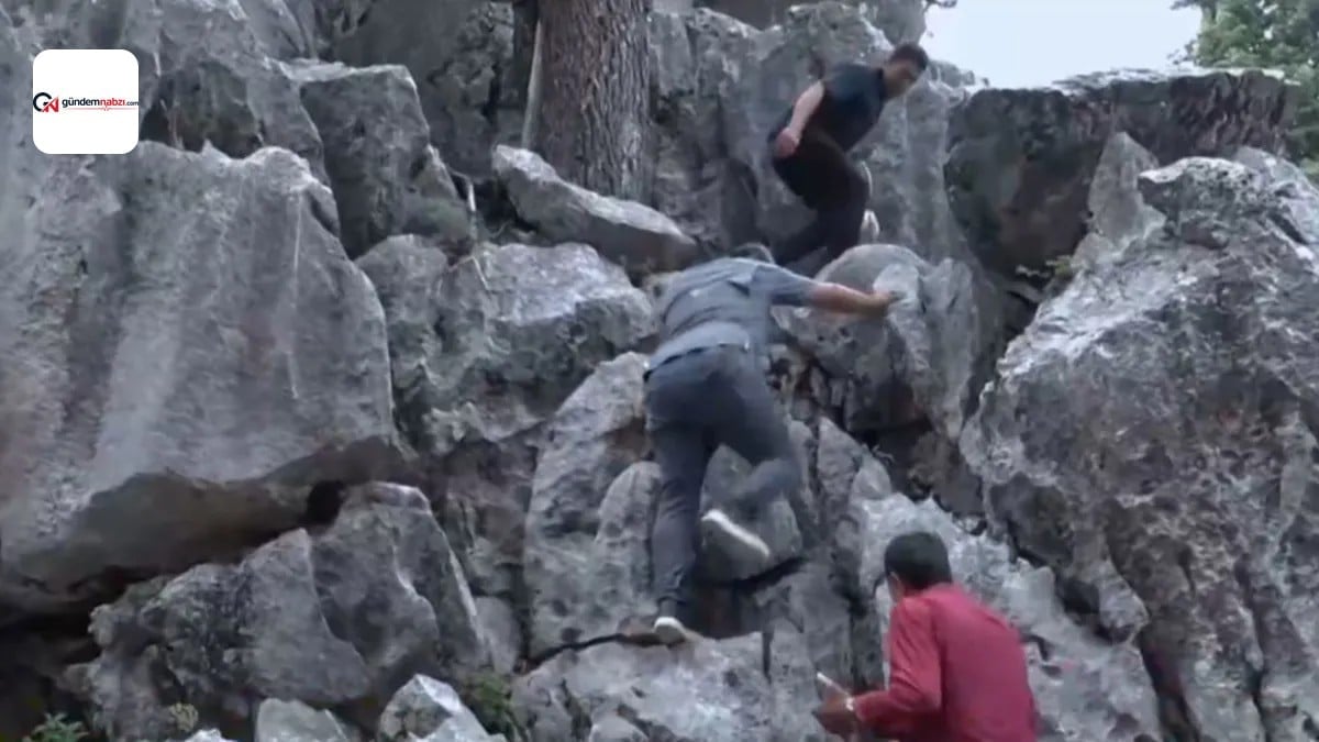Osmaniye'deki Turnalar Yaylası'nda doğal yaşam ve üretim sürüyor