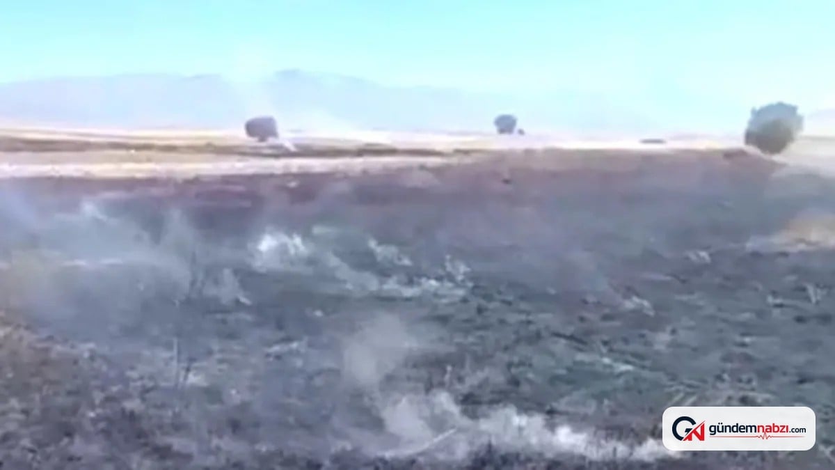 Kayseri'de anız yangınında 100 dönümlük tarım arazisi zarar gördü
