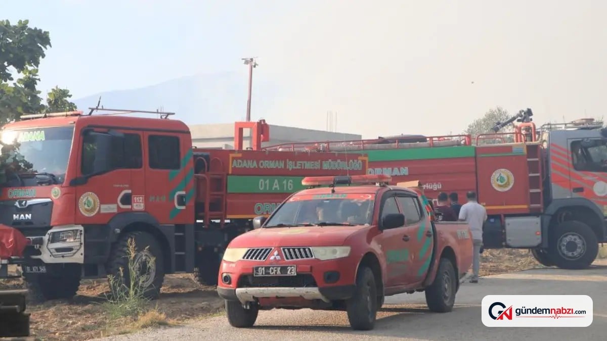 Adana'nın Karaisalı ilçesinde evlerin yanı başında orman yangını çıktı