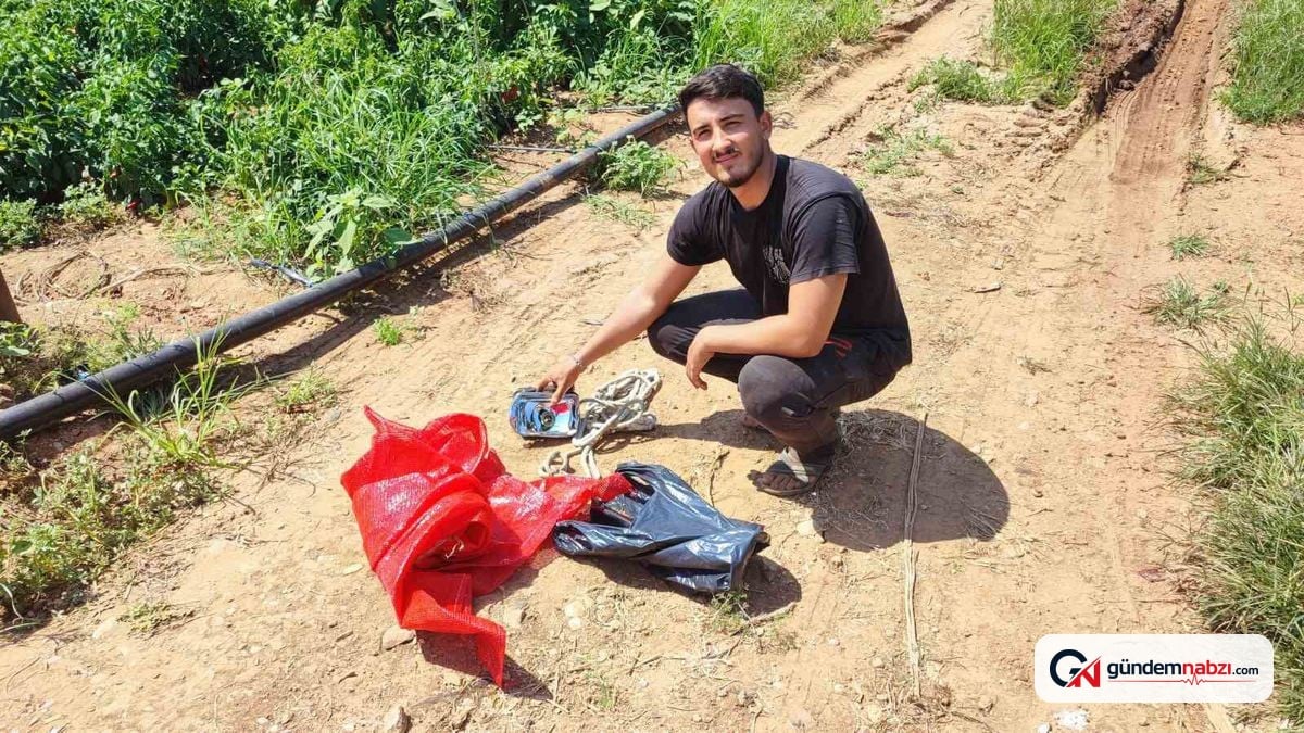 Adana'da hırsızlar salçalık biberi çaldı