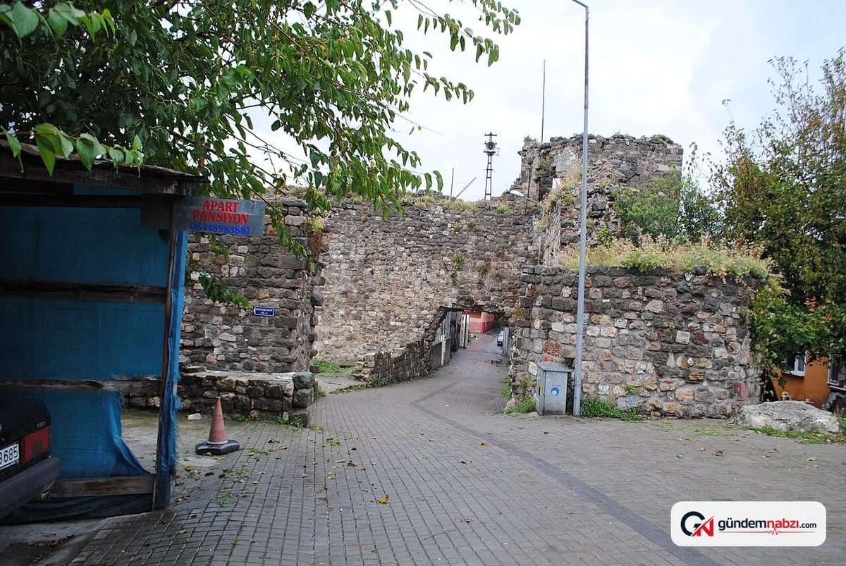 Amasra Kalesi surlarındaki ağaçlar yeniden büyüyor