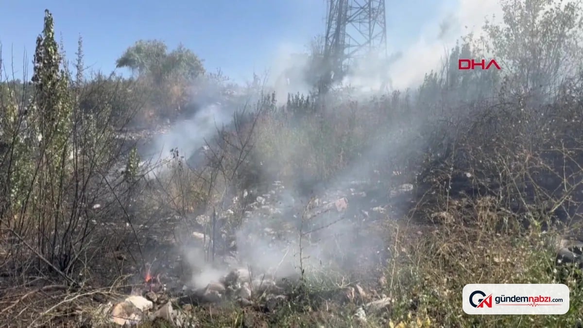 Ankara Çankaya'daki Keklikpınarı Mahallesi'nde otluk alanda çıkan yangın söndürüldü