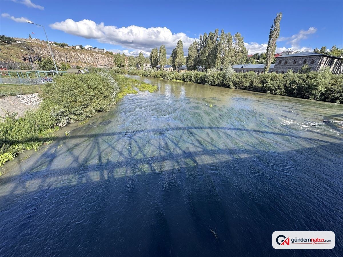 Ardahan'da debisi düşen Kura Nehri'ni yosun kapladı