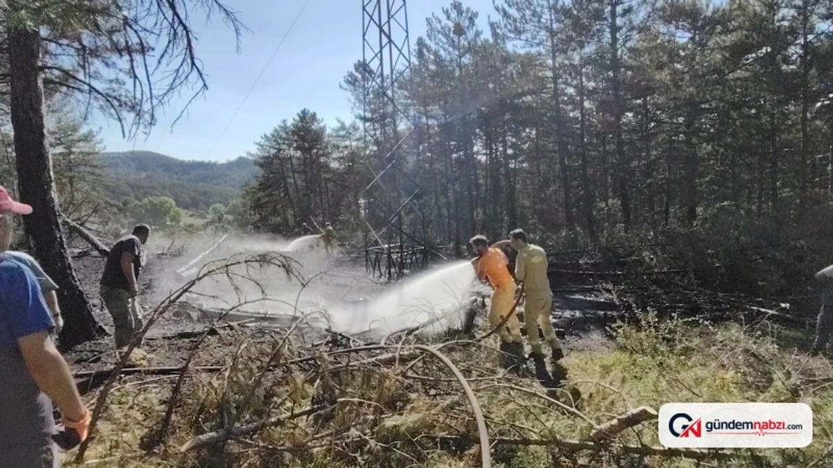 Bolu Mudurnu'da akıma kapılan kuş orman yangını çıkardı