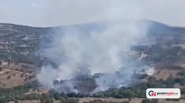 Bursa Orhaneli'nde Orman yangını çıktı