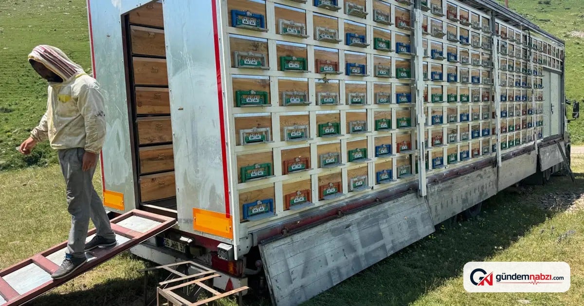 Kars'ta TIR mobil bal üretim tesisine dönüştürüldü