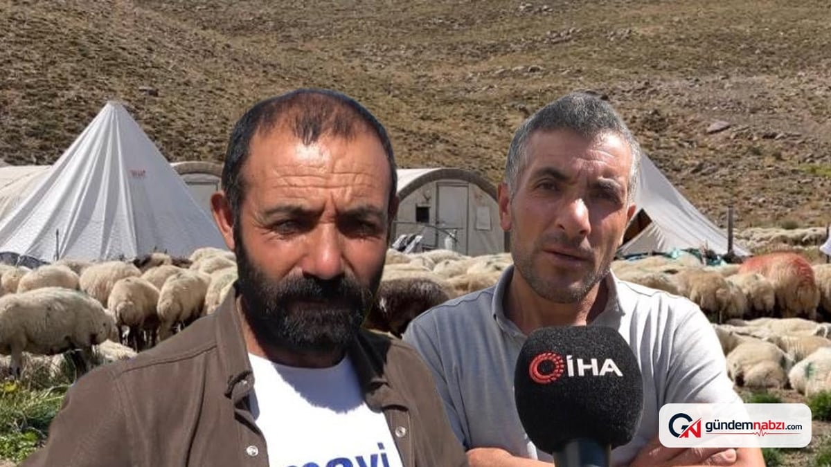 Tunceli'de 150 bin lira maaşa çoban bulunamıyor