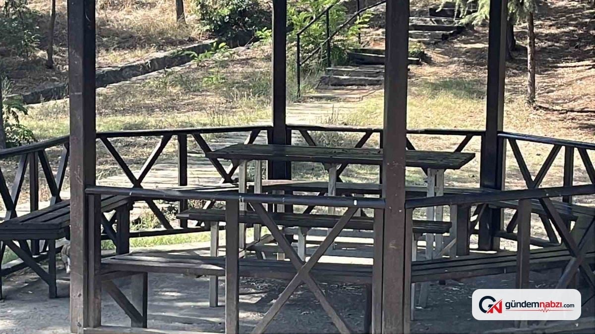 Kocaeli'de eşinin bıçaklı saldırısına uğrayan kadın ağır yaralandı