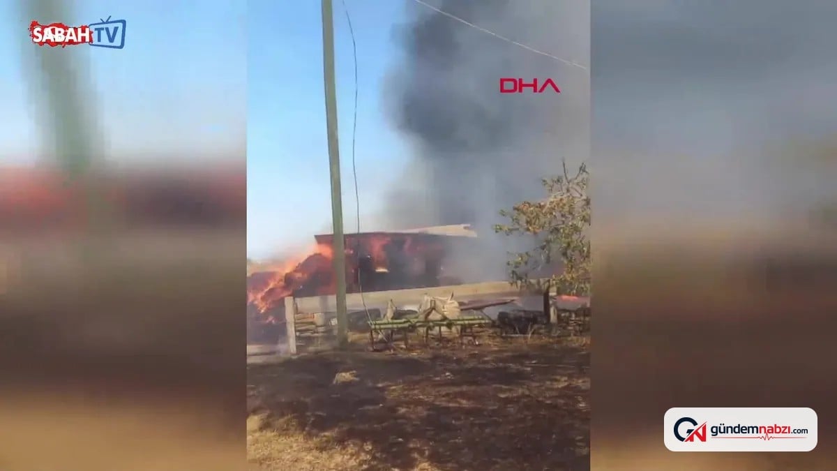 Antalya Manavgat'ta anız yangını ağıllara sıçradı