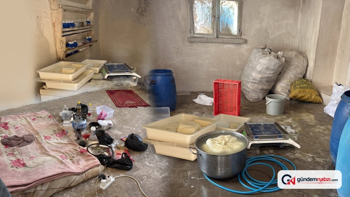 Kilis'te böcekler arasında peynir üreten imalathaneye ceza kesildi