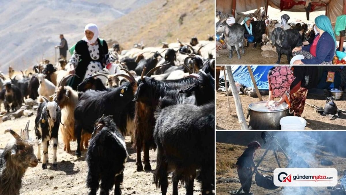 Şırnak'ta organik tereyağının kilosu 5 bin ile 10 bin lira arasında