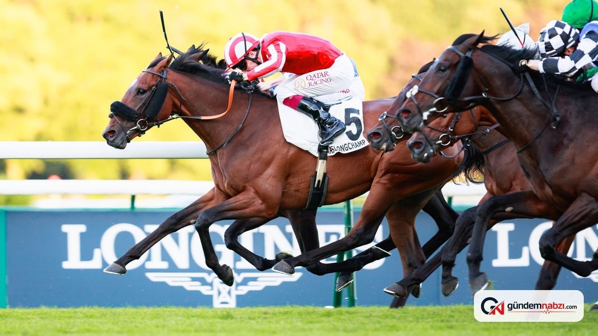 Caballo De Mar, Doncaster Kupası'nda Queenstown ile karşılaşıyor