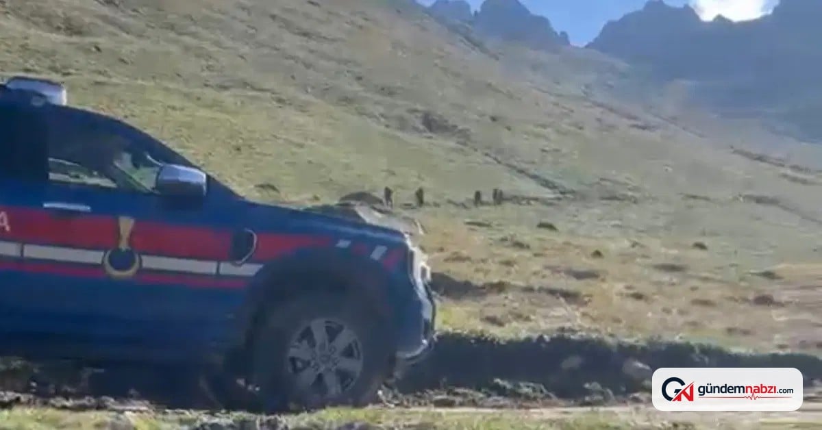 Rize'de Kaçkarlar'da mahsur kalan yabancı turist kurtarıldı