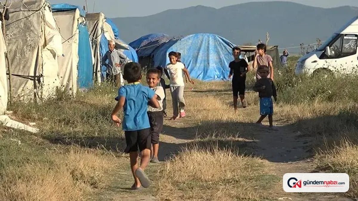 Mevsimlik tarım işçileri zorlu hasat döneminde